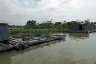 Living and working on the river