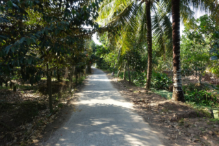 Driving through the fruit gardens