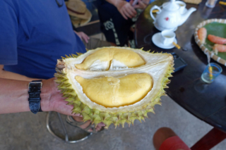 Inside the Durian fruit