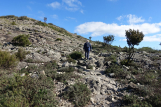 Climbing the rocks to the top