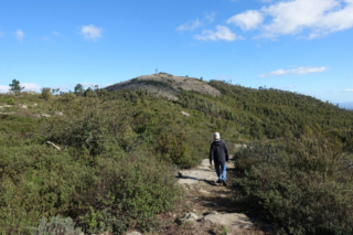 On the way back down