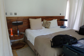 Hamerkop House