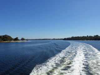 Cruising down the Swan River