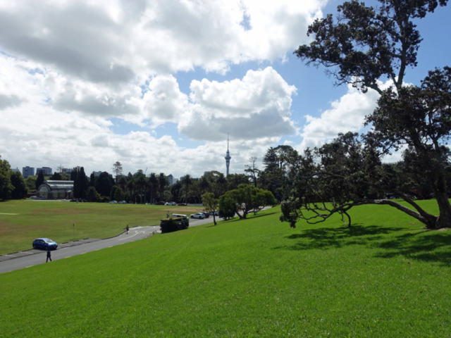 Downtown Auckland from the museum