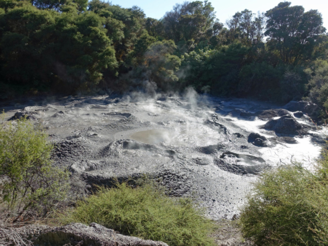 Bubbling mud pool