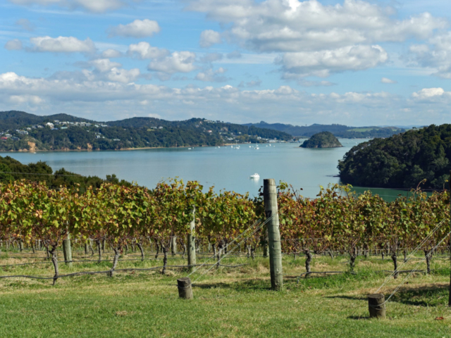 Bay of Islands view
