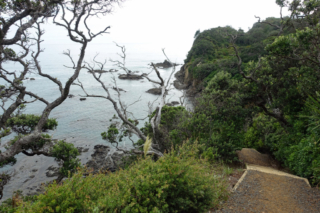 Part way up the trail