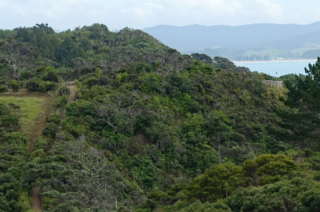 Can you see some of the stairs on the left?