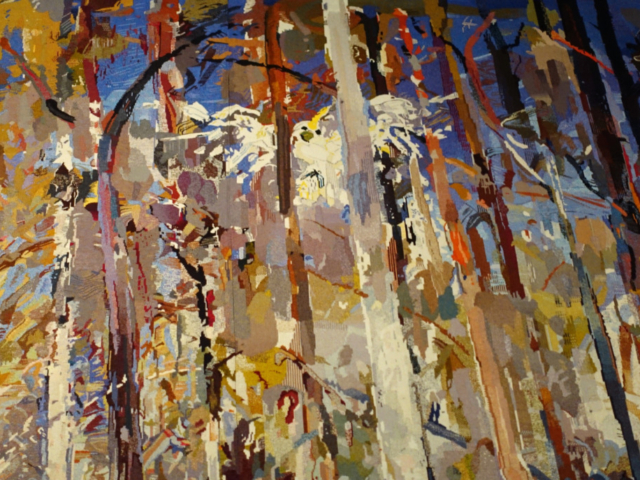 Can you see the Cockatoo?