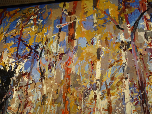 Can you see the comet?