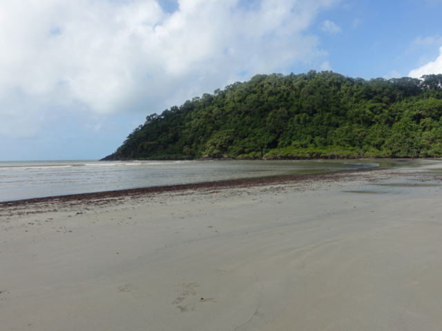 Kulki Beach